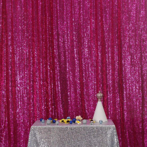 Fuschia Sequin Photo Booth Backdrop